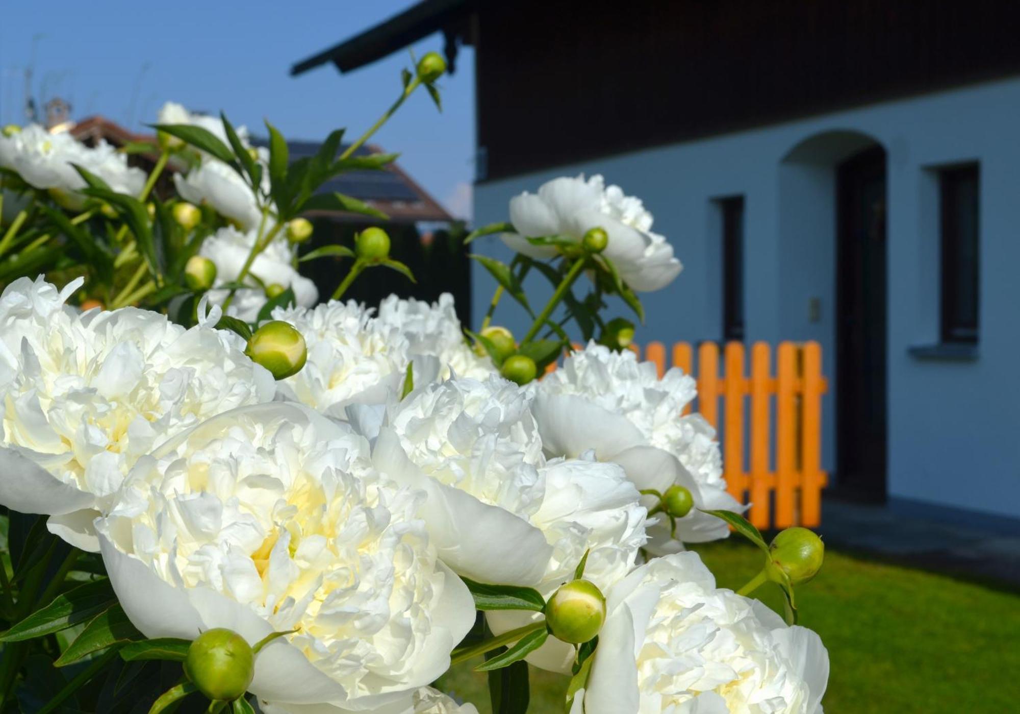 Ferienhaus Antdorfer Gartenglueck Екстер'єр фото